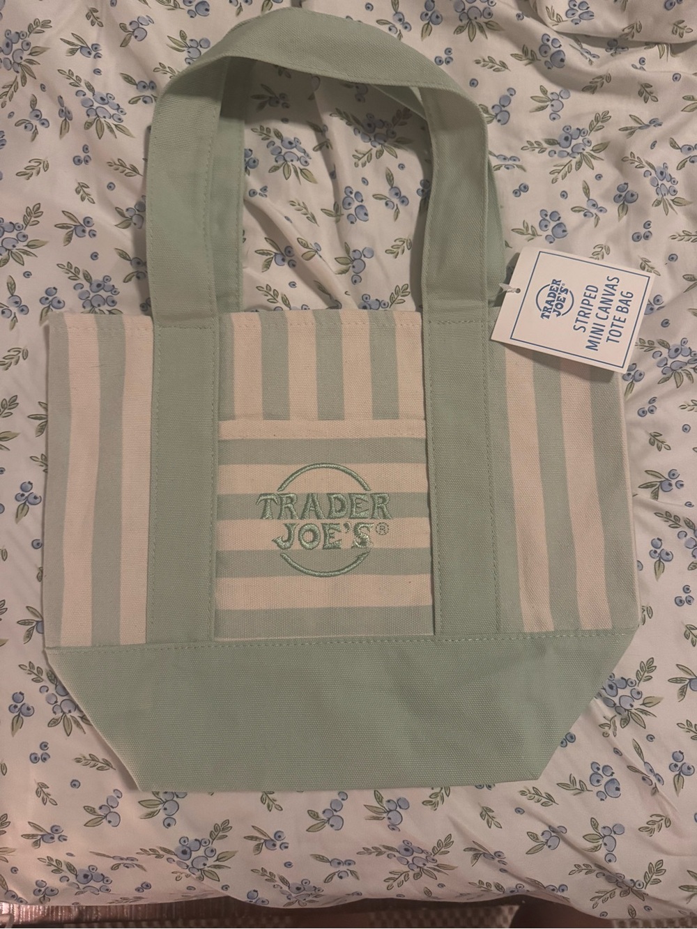 Trader Joe's Mint Green Striped Canvas Tote